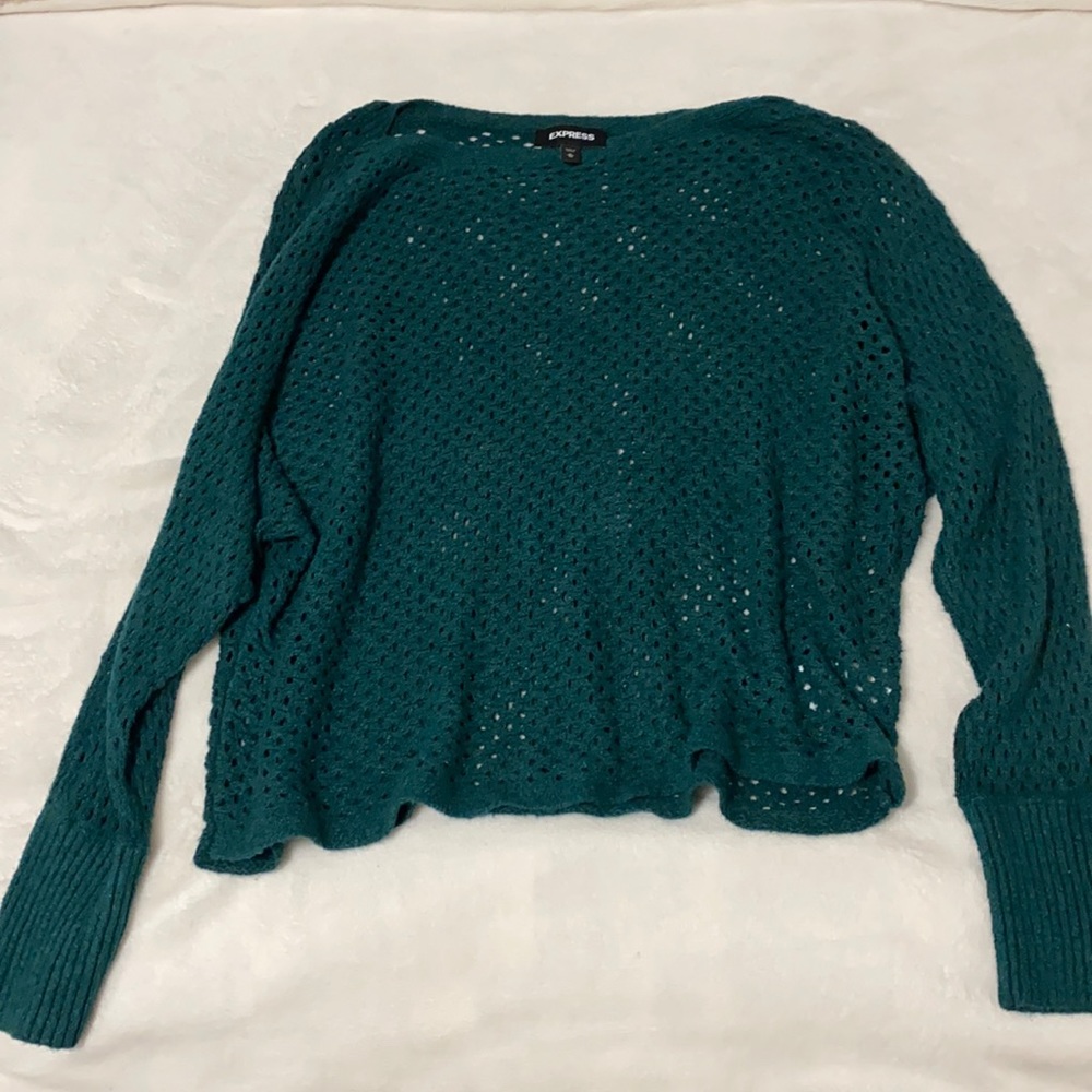 Express Green fishnet sweater